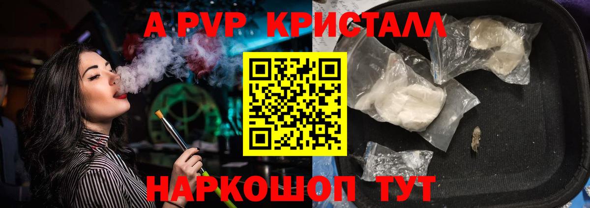Alfa_PVP СК Мурманск