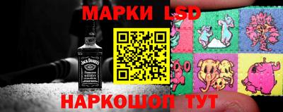 СК Донецк