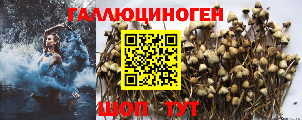 Псилоцибиновые грибы Magic Shrooms  Вход с VPN  Галлюциногенные грибы прущие грибы  Мурманск 